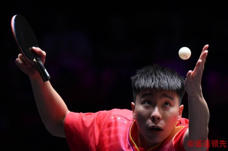 WTT果阿站徐瑛彬冲击正赛席位 双打晋级名单揭晓