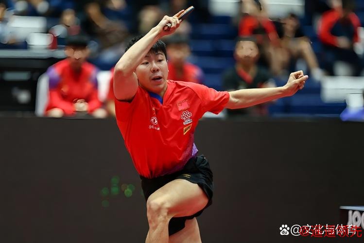 WTT果阿站徐瑛彬首秀3比0获胜 距离正赛只差一步