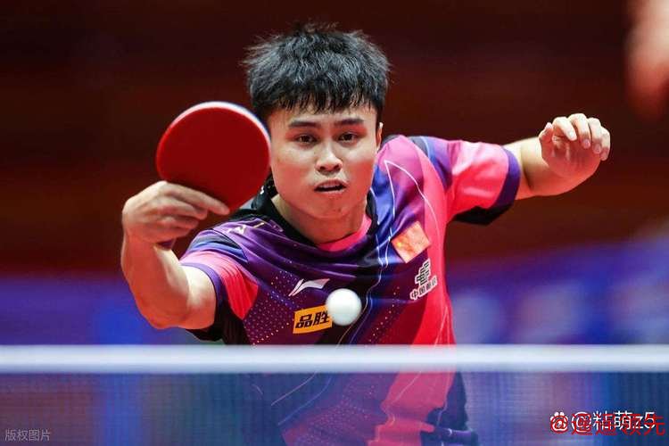 WTT果阿站正赛国乒开门红 梁俨苧周启豪携手晋级