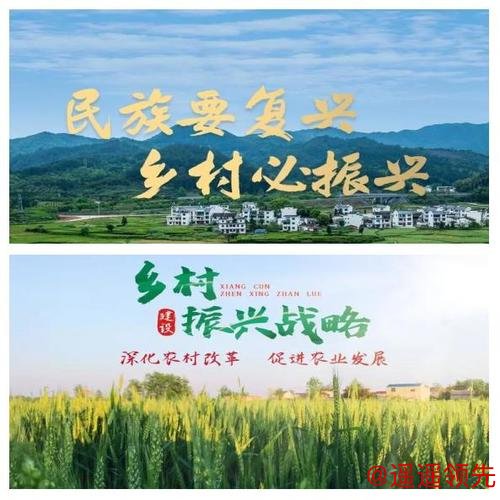 全民健身潮涌乡野“体农融合”助力乡村振兴