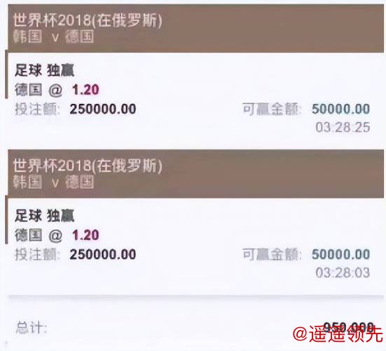 揭秘世界杯买球平台：安全与合法指南